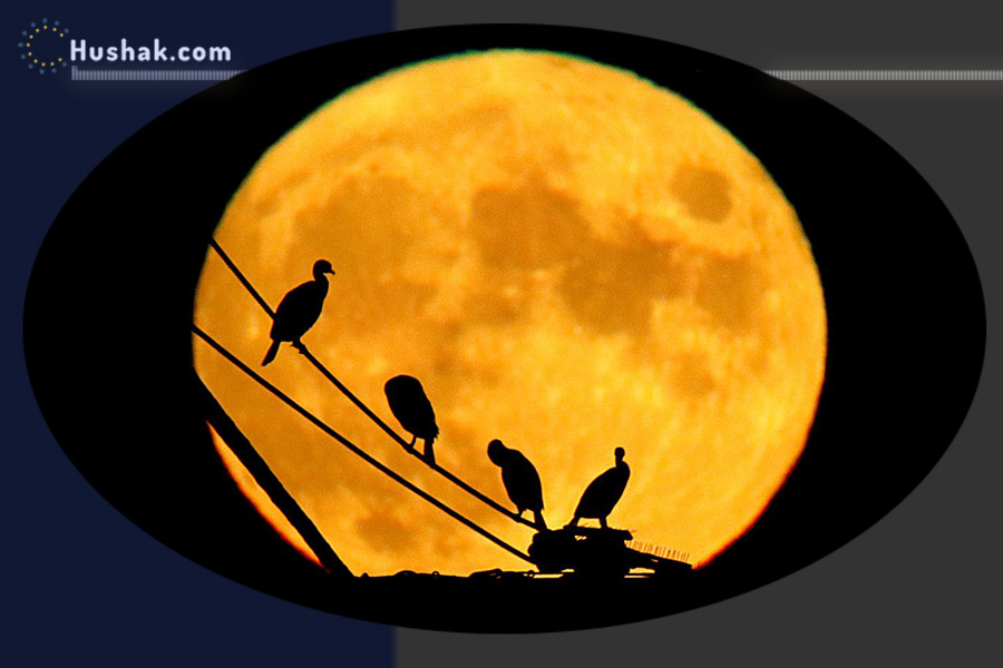 2022 թվականի հուլիսի 19-ի լուսնային-արևային աստղագուշակ