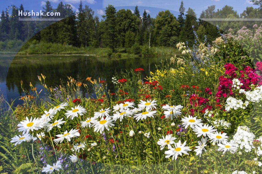 Շաբաթվա աստղագուշակ 25.07 - 31.07