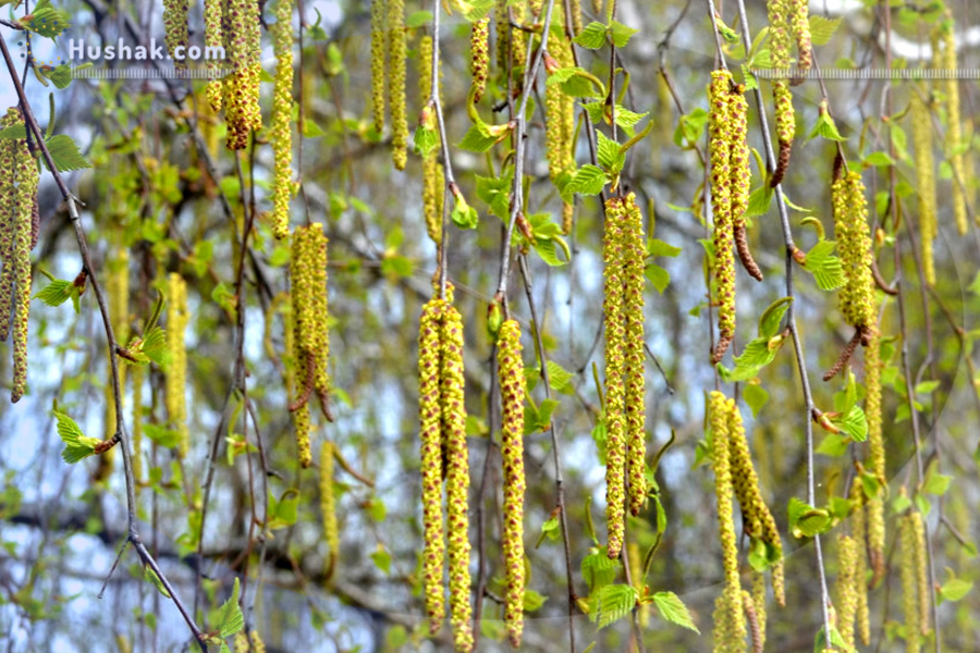 Շաբաթվա աստղագուշակ 05.09 - 11.09