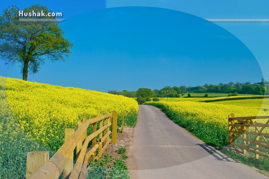 Շաբաթվա աստղագուշակ 22.08 - 28.08