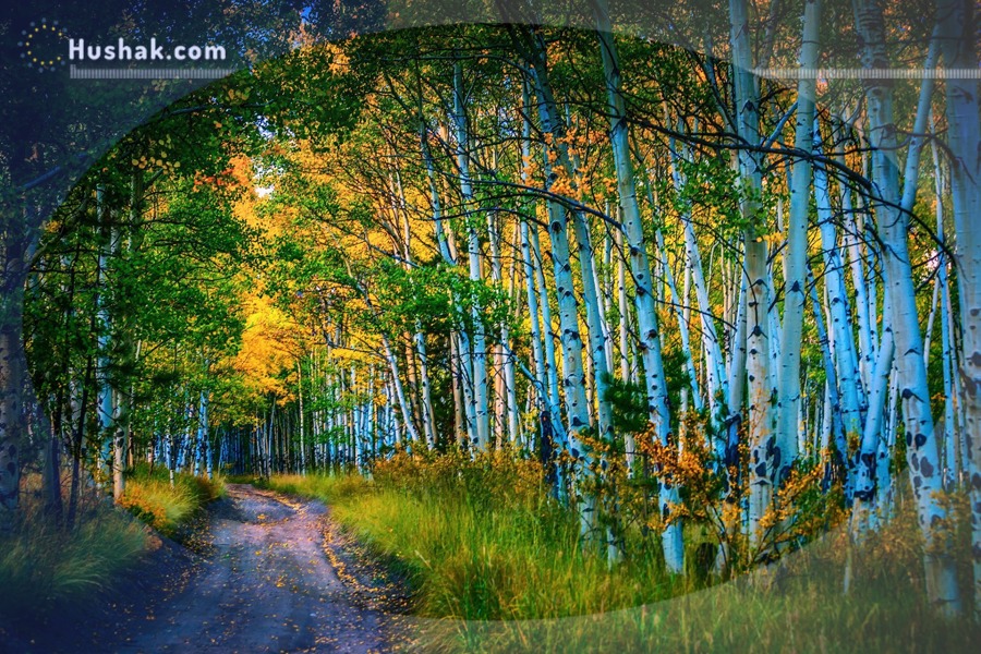 2022 թվականի հոկտեմբերի աստղագուշակը