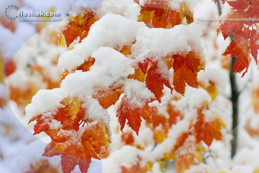 Շաբաթվա աստղագուշակ 19.12 - 25.12