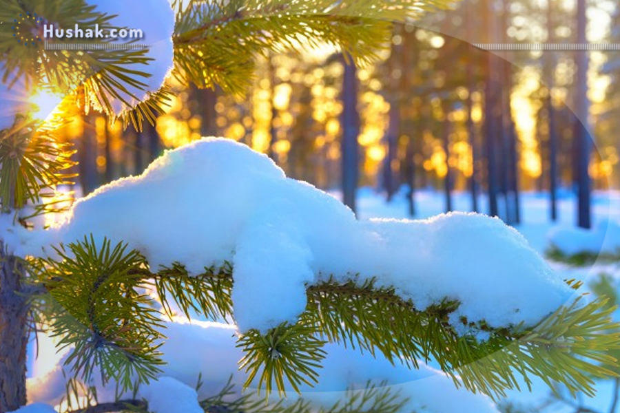 Շաբաթվա աստղագուշակ 16.01 - 22.01