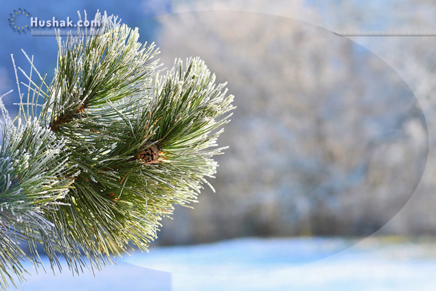 Շաբաթվա աստղագուշակ 26.12 - 01.01