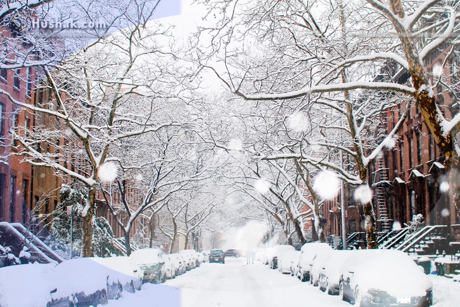 2023 թվականի հունվարի աստղագուշակը