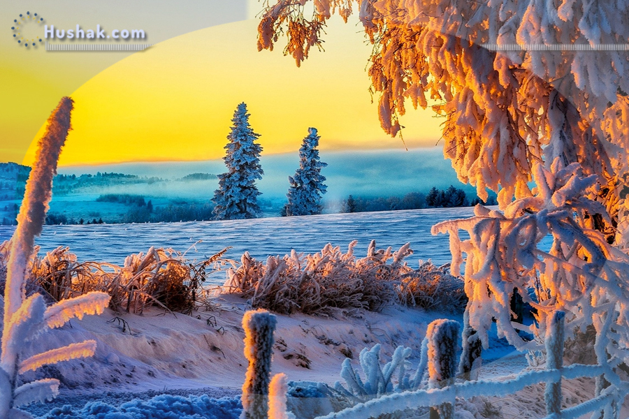 Շաբաթվա աստղագուշակ 20.02 - 26.02