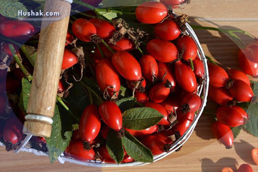 Ժողովրդական բժշկություն. Մասուրի օգտակար հատկանիշները