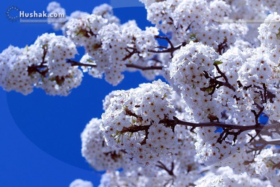 2023 թվականի ապրիլի աստղագուշակը