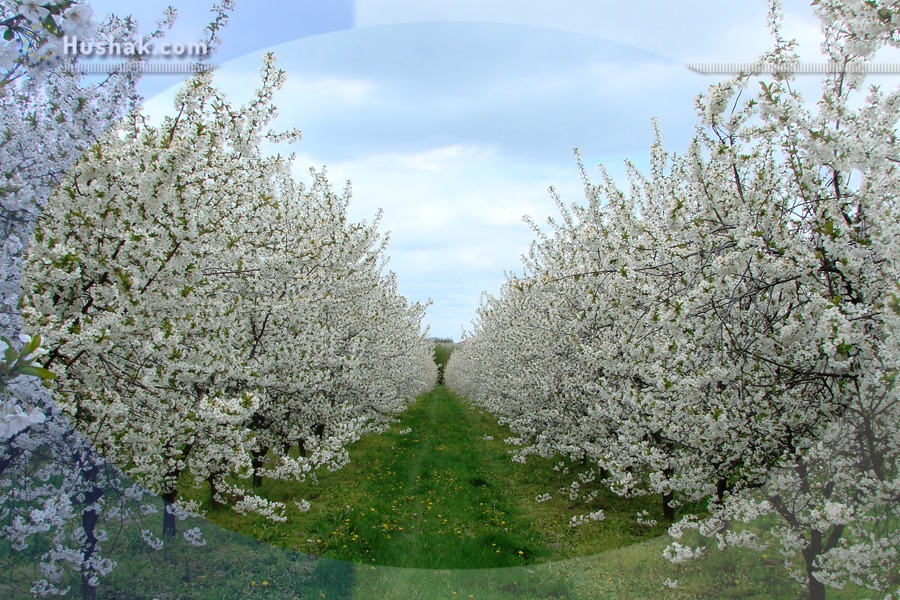 Շաբաթվա աստղագուշակ 10.04 - 16.04