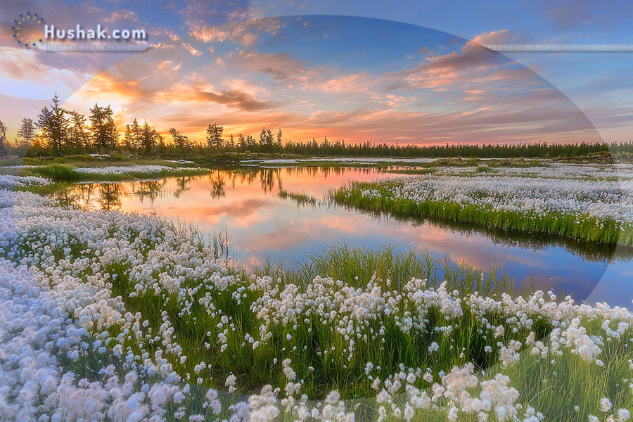 2023 թվականի հունիսի աստղագուշակը