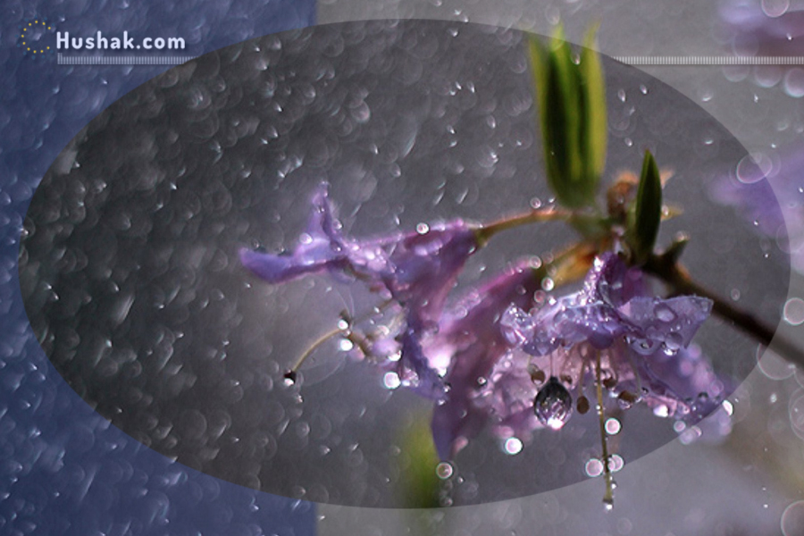 Շաբաթվա աստղագուշակ 24.04 - 30.04