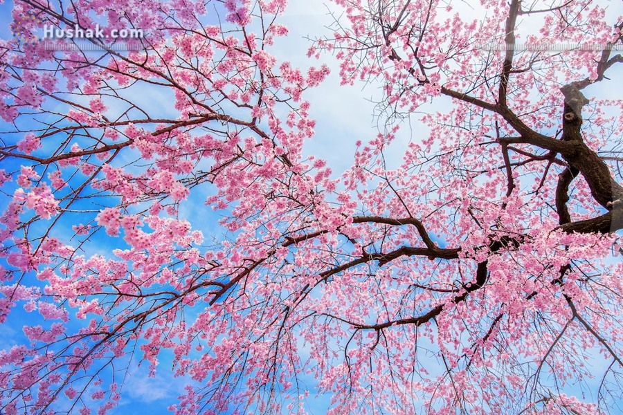 2023 թվականի մայիսի աստղագուշակը