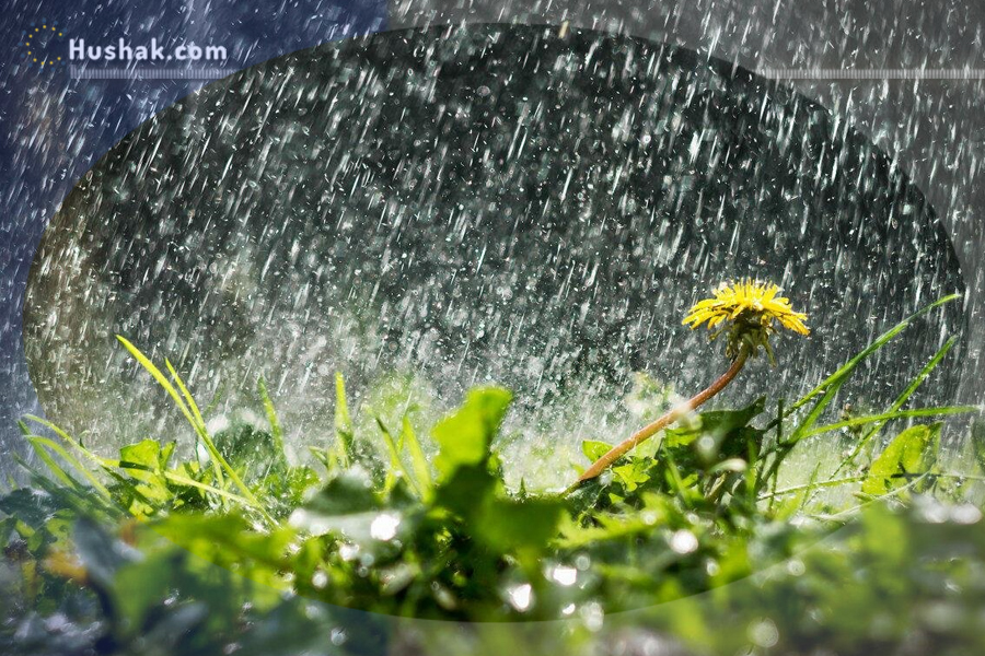 Շաբաթվա աստղագուշակ 15.05 - 21.05