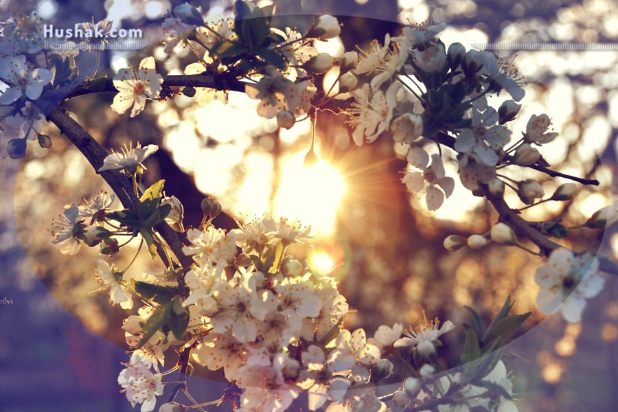 Շաբաթվա աստղագուշակ 01.05 - 07.05