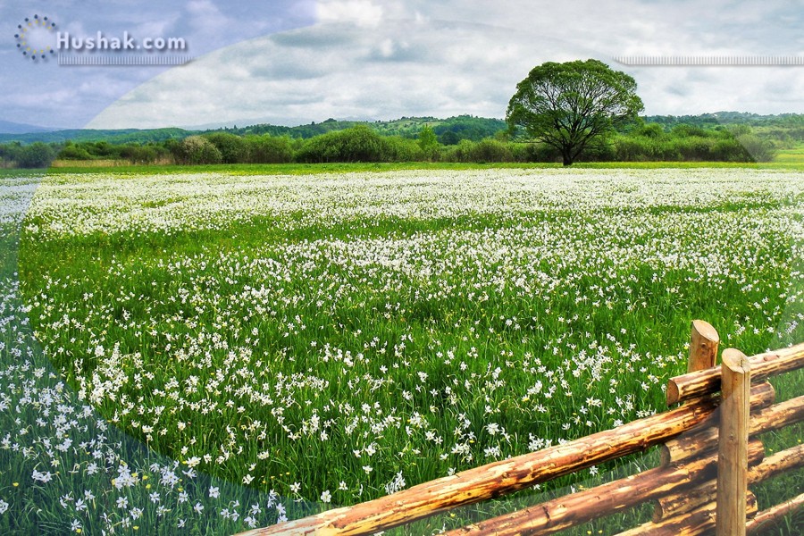 Շաբաթվա աստղագուշակ 03.07 - 09.07
