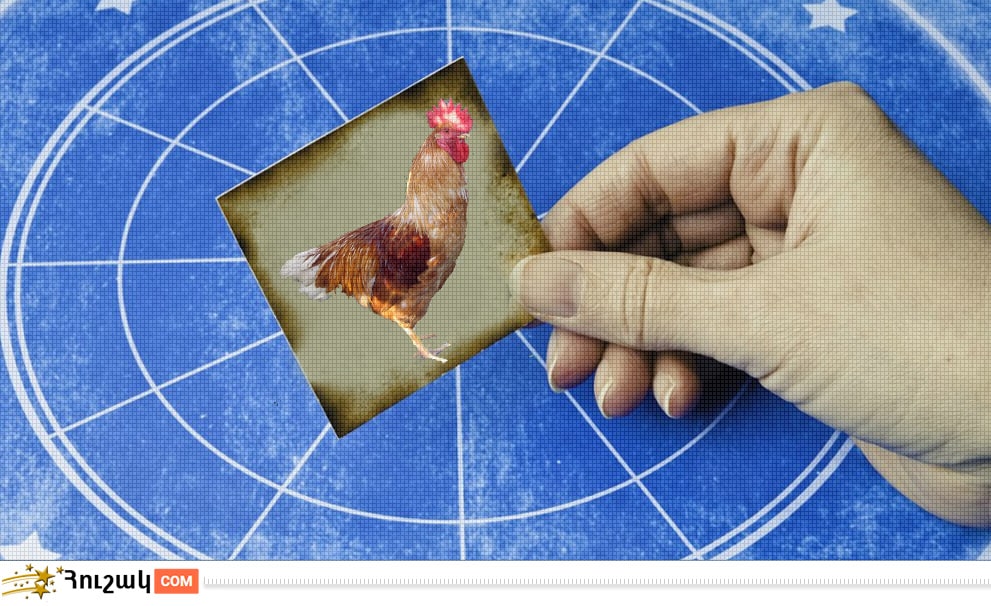 Կարմա և հորոսկոպ. Աքաղաղ