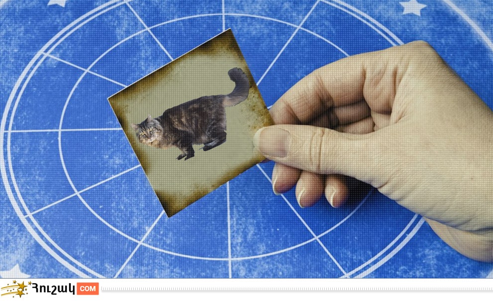 Կարմա և հորոսկոպ. Կատու կամ Ճագար