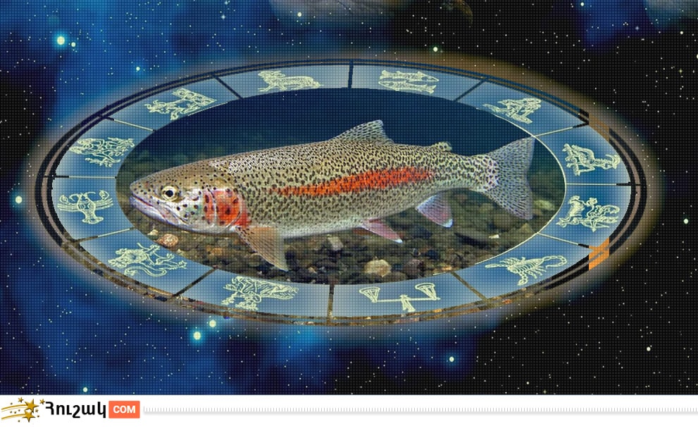 Ձկների համատեղելիությունը