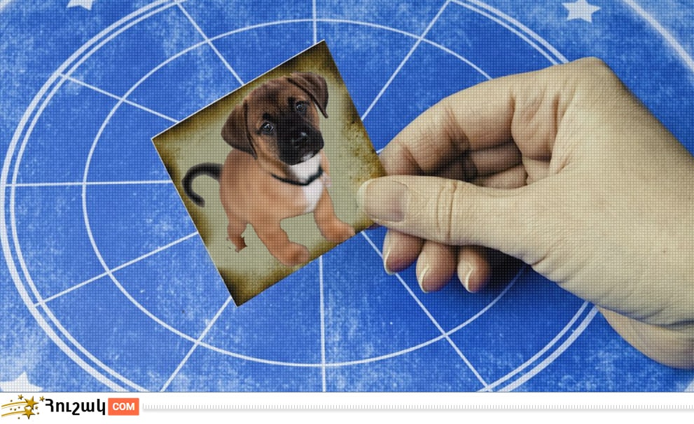 Կարմա և հորոսկոպ. Շուն