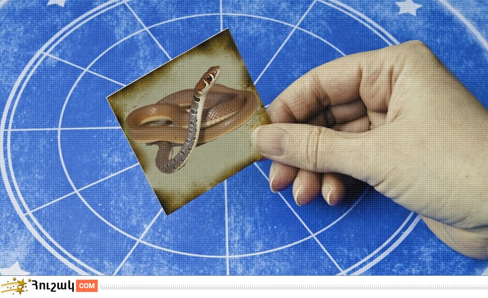 Կարմա և հորոսկոպ. Օձ