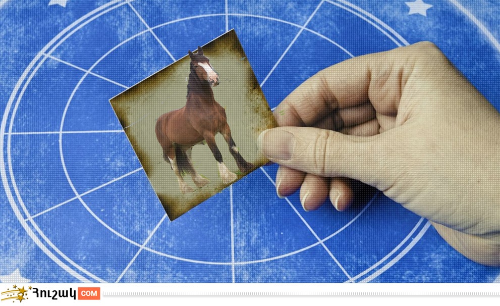 Կարմա և հորոսկոպ. Ձի