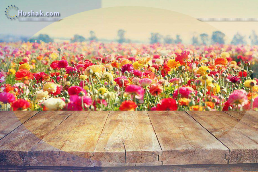 Շաբաթվա աստղագուշակ 31.07 - 06.08