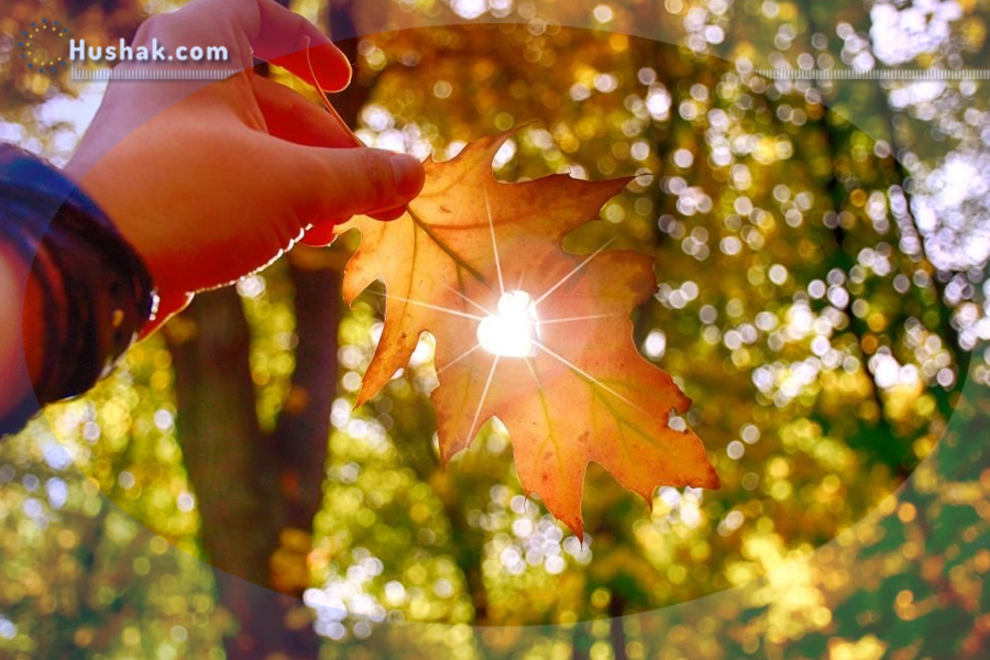 2023 թվականի սեպտեմբերի աստղագուշակը