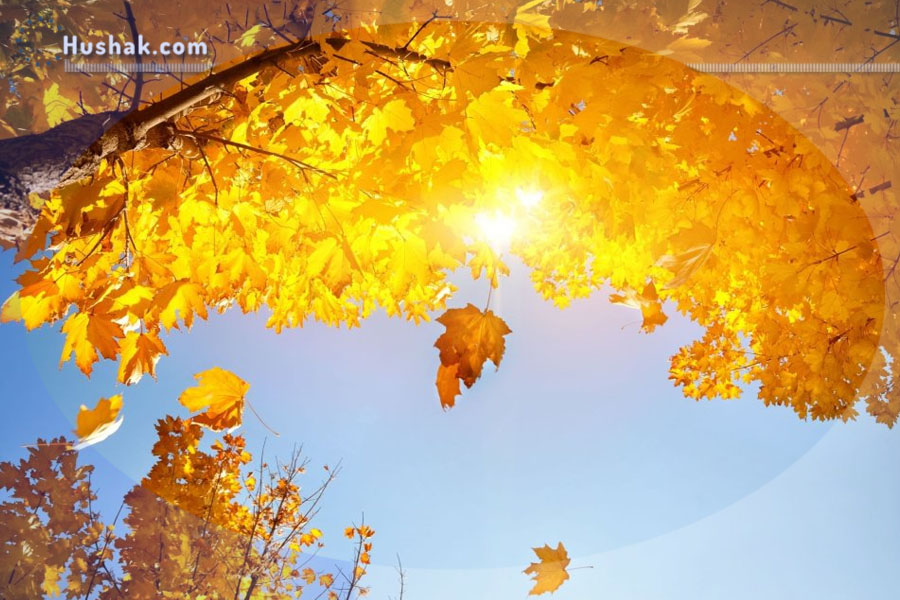 Շաբաթվա աստղագուշակ 23.10 - 29.10