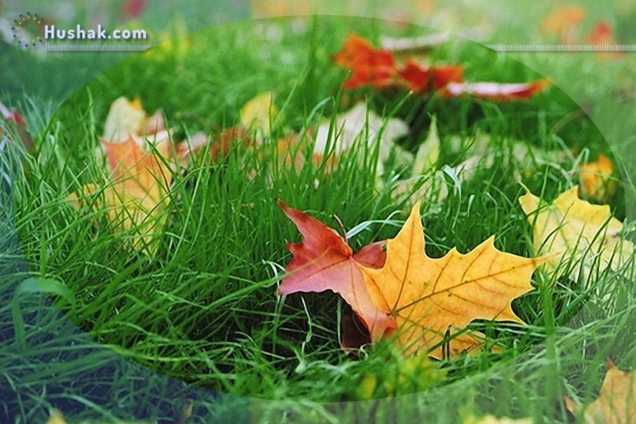 Շաբաթվա աստղագուշակ 25.09 - 01.10