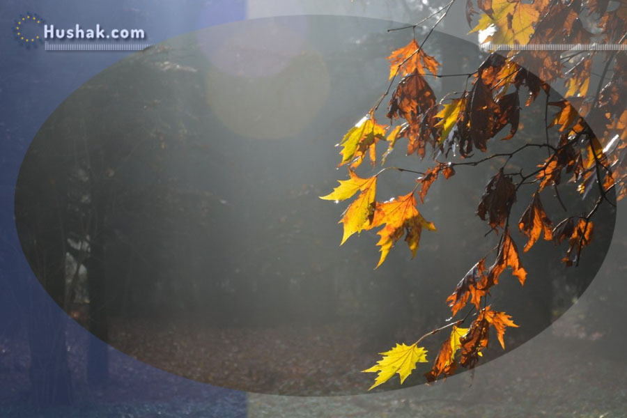 Շաբաթվա աստղագուշակ 20.11 - 26.11