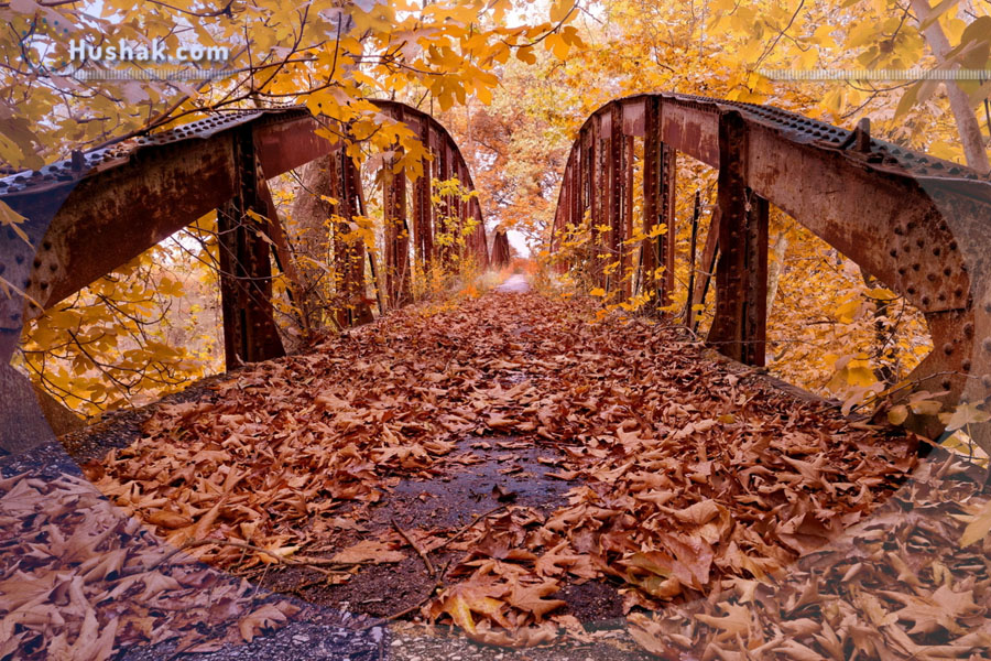 Շաբաթվա աստղագուշակ 27.11 - 03.12