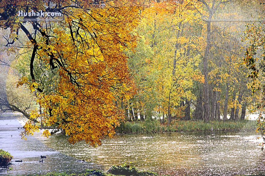 Շաբաթվա աստղագուշակ 13.11 - 19.11