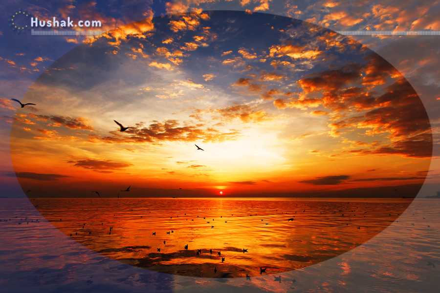 2023 թվականի նոյեմբերի 8-ի լուսնային-արևային աստղագուշակ