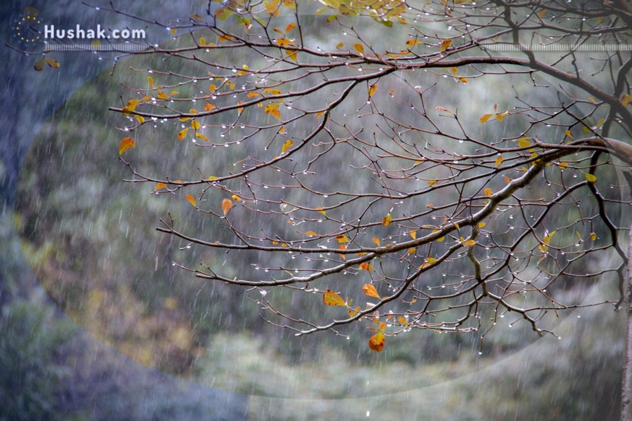 Շաբաթվա աստղագուշակ 04.12 - 10.12