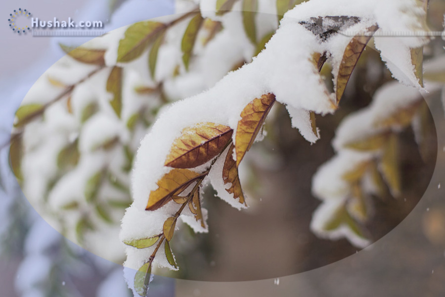 Շաբաթվա աստղագուշակ 18.12 - 24.12