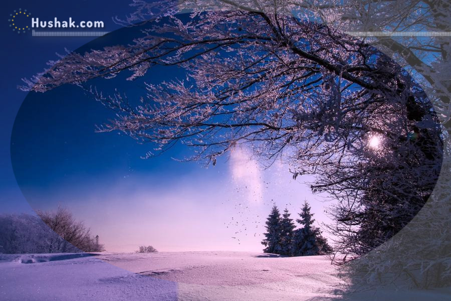 Շաբաթվա աստղագուշակ 25-31.XII