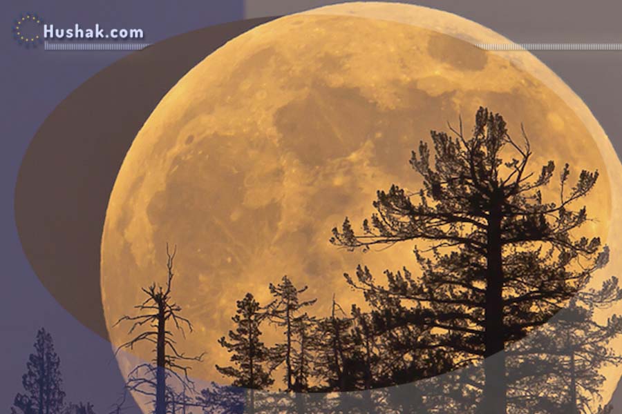 2023 թվականի դեկտեմբերի 15-ի լուսնային-արևային աստղագուշակ