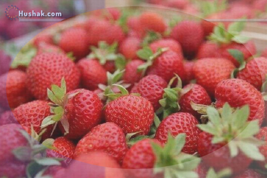 Ժողովրդական բժշկություն. Ելակի պոչերի օգտակար հատկությունները