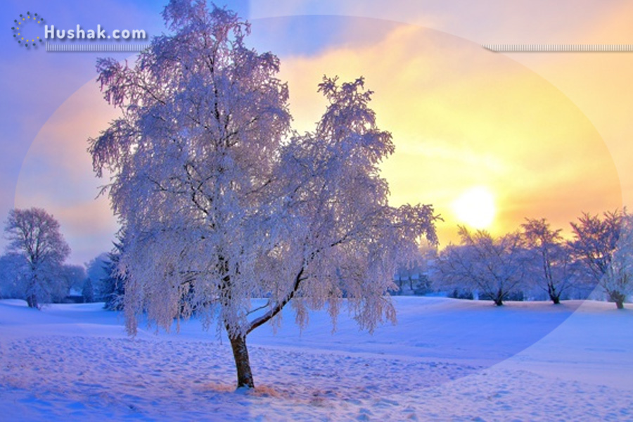 Շաբաթվա աստղագուշակ 22-28.I