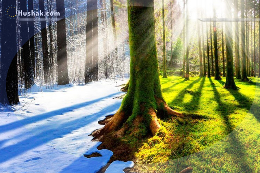 Շաբաթվա աստղագուշակ 26.II-03.III