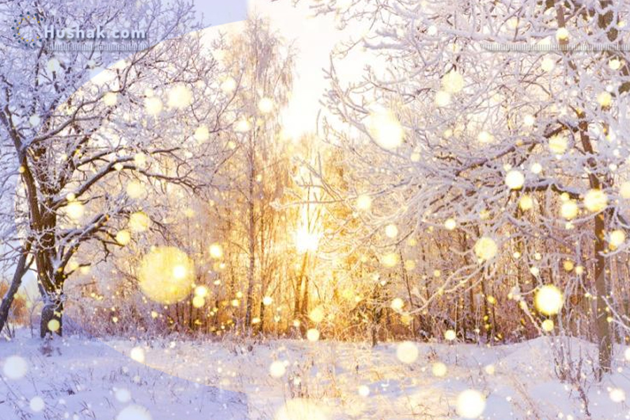 Շաբաթվա աստղագուշակ 19-25.II