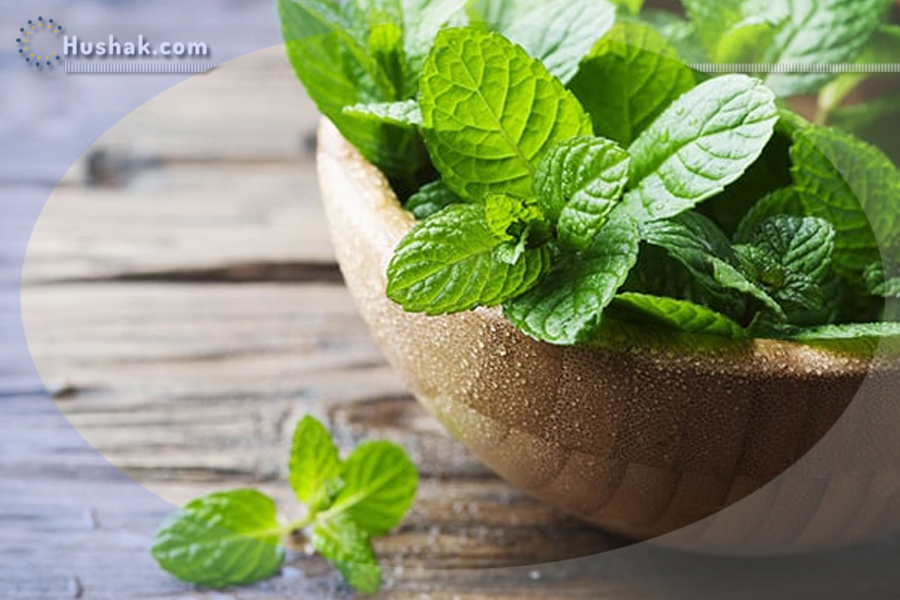 Ժողովրդական բժշկություն. Անանուխի օգտակար հատկությունները