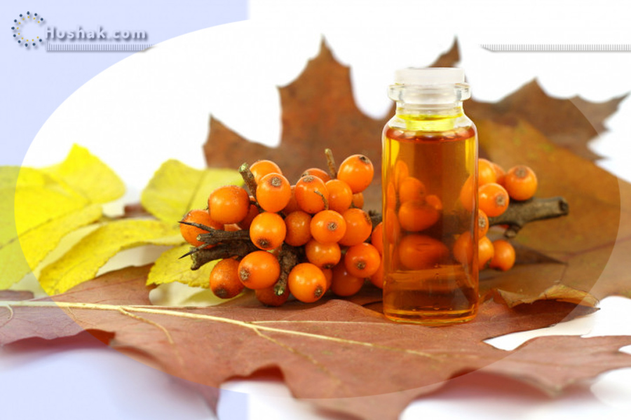 Ժողովրդական բժշկություն. Չիչխանի օգտակար հատկությունները