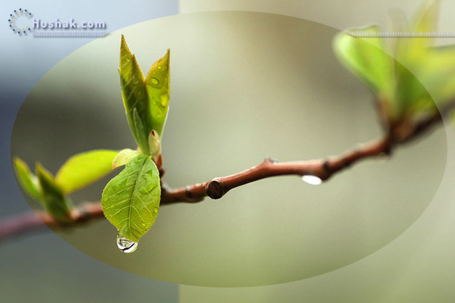 Շաբաթվա աստղագուշակ 25-31.III