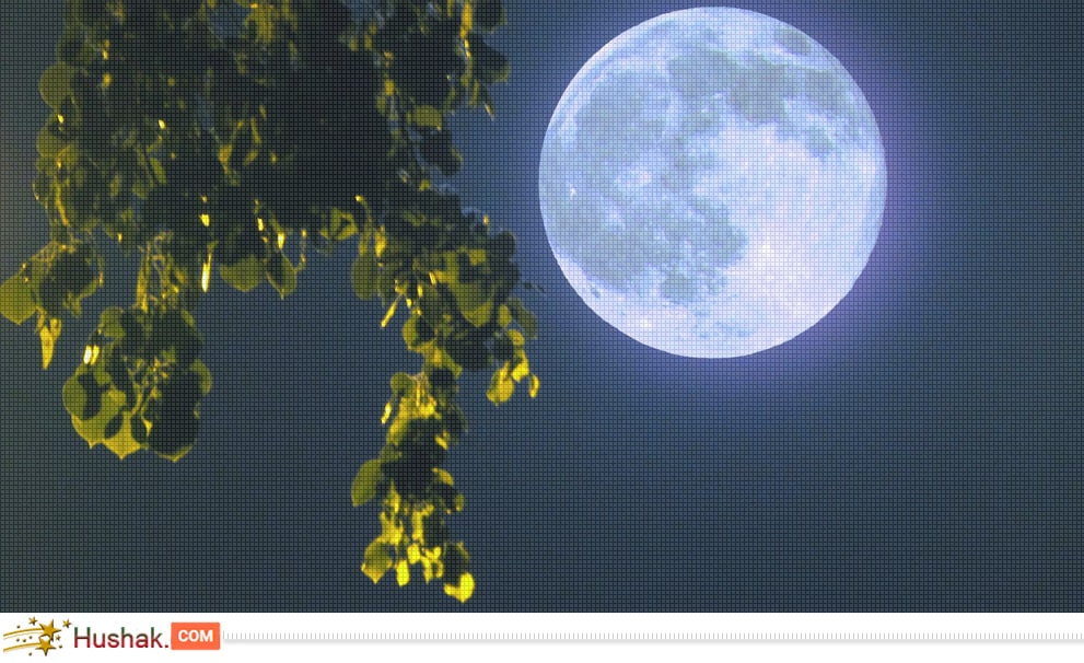 Հունիսի 8-ի լուսնային-արևային աստղագուշակը