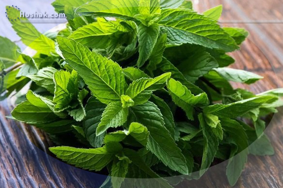 Ժողովրդական բժշկություն. Անանուխի (դաղձ) օգտակար հատկությունները