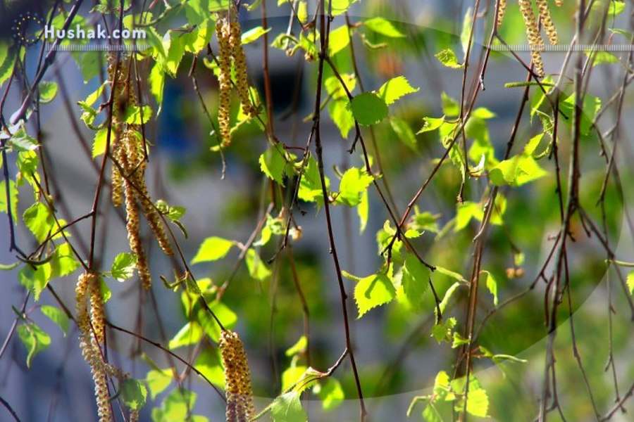 Շաբաթվա աստղագուշակ 22-28.IV