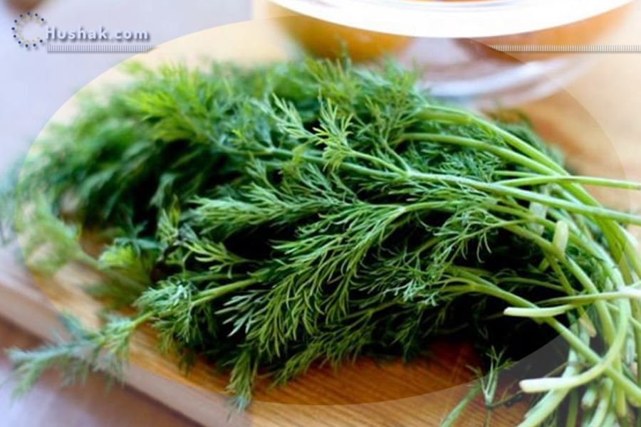 Ժողովրդական բժշկություն. Սամիթի օգտակարությունը