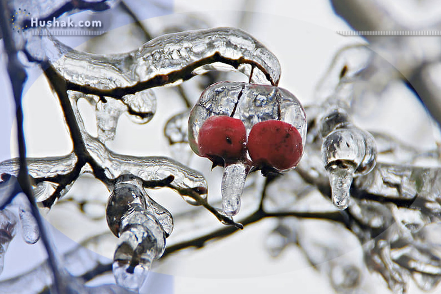 Շաբաթվա աստղագուշակ 09.12-15.12