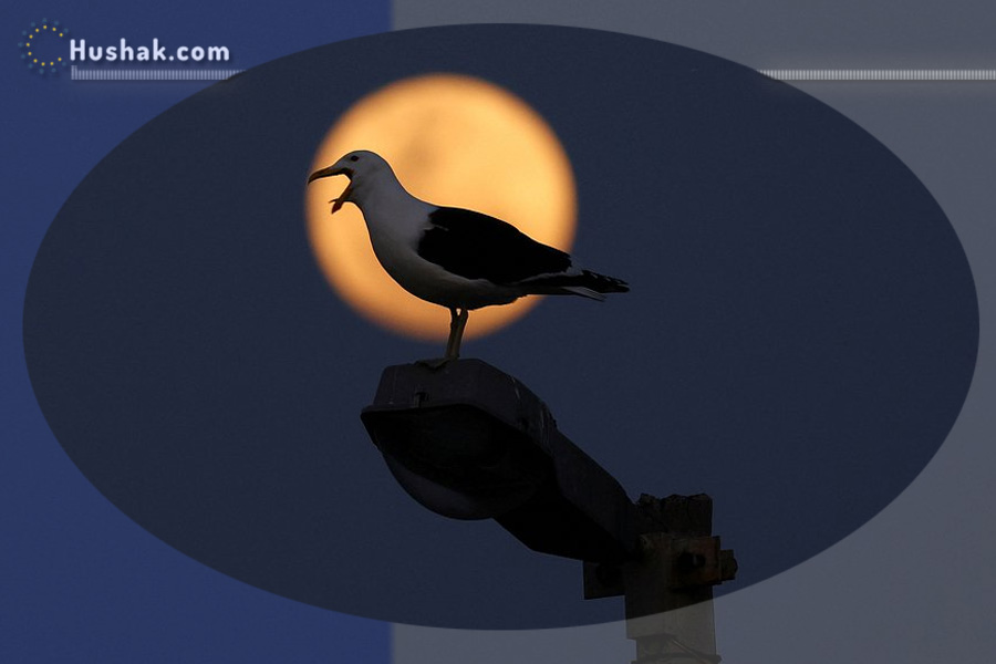 2025 թվականի սեպտեմբերի 6-ի լուսնային-արևային աստղագուշակ